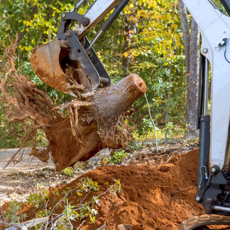 Utilizing skid steer tractor to remove a roots and clear land for housing complex construction Utilizing skid steer tractor to remove a roots and clear land for housing complex construction